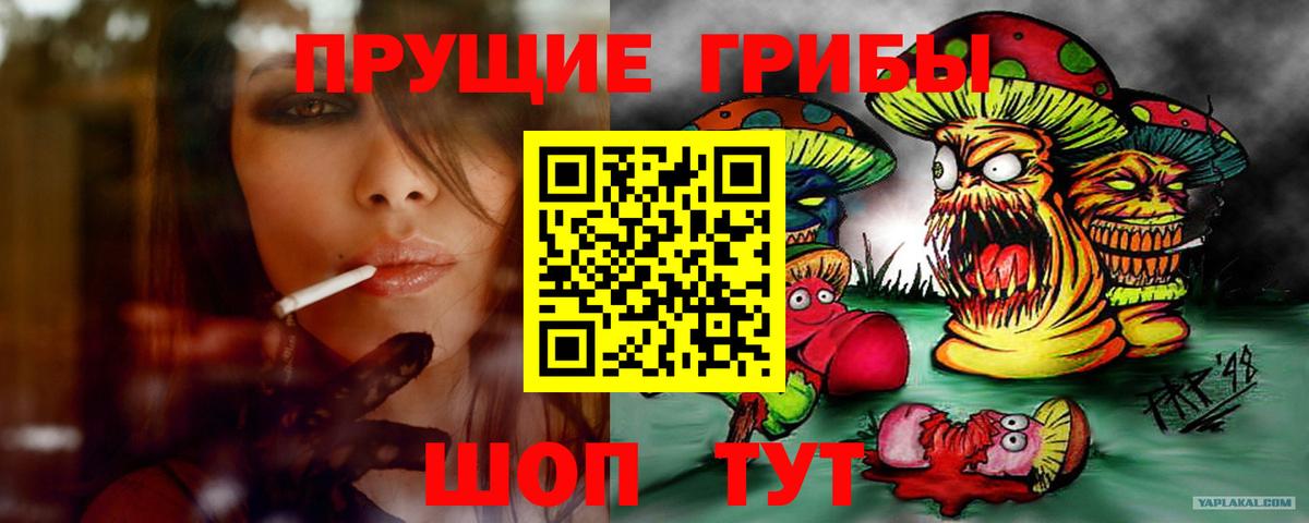 Семилуки  Галлюциногенные грибы MAGIC MUSHROOMS  Вход с VPN 